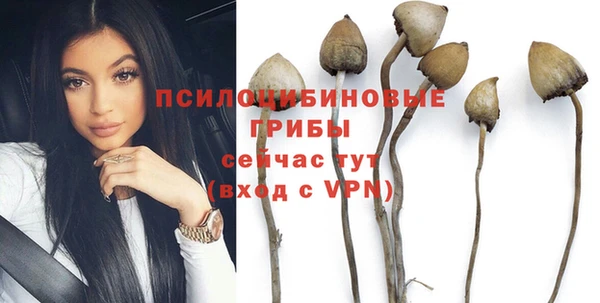 крисы Армянск
