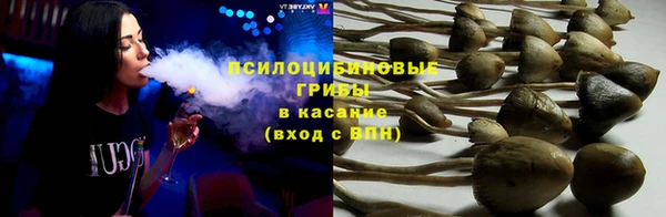 мдпв Арсеньев