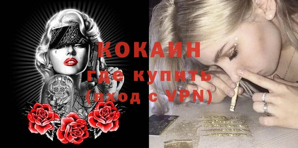 крисы Армянск